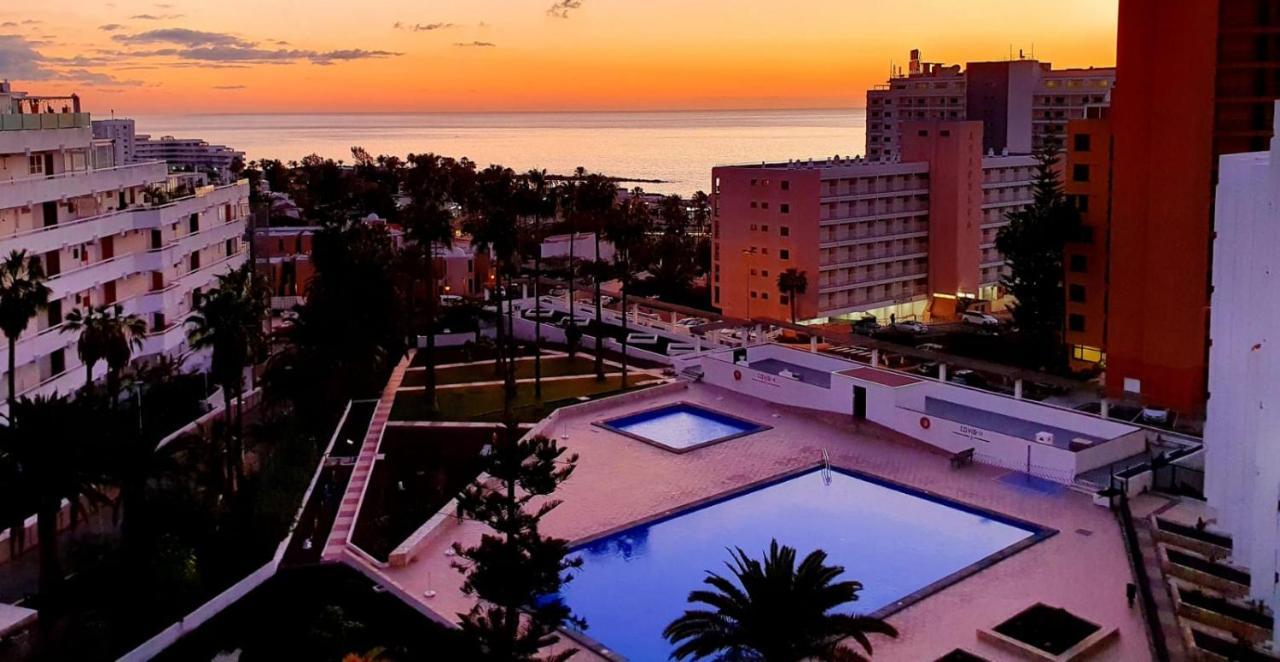 Apartament Vina Del Mar *